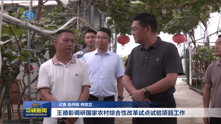 【20250919】王德彰调研国家农村综合性改革试点试验项目工作