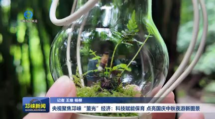 【20250924】央视聚焦邛崃“萤光”经济：科技赋能保育，点亮国庆中秋夜游新图