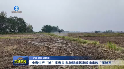 【20251016】小春生产“抢”字当头 科技赋能筑牢粮油丰收“压舱石”