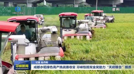【20251023】成都水稻绿色高产挑战赛收官 邛崃包揽双金奖助力“天府粮仓”提质