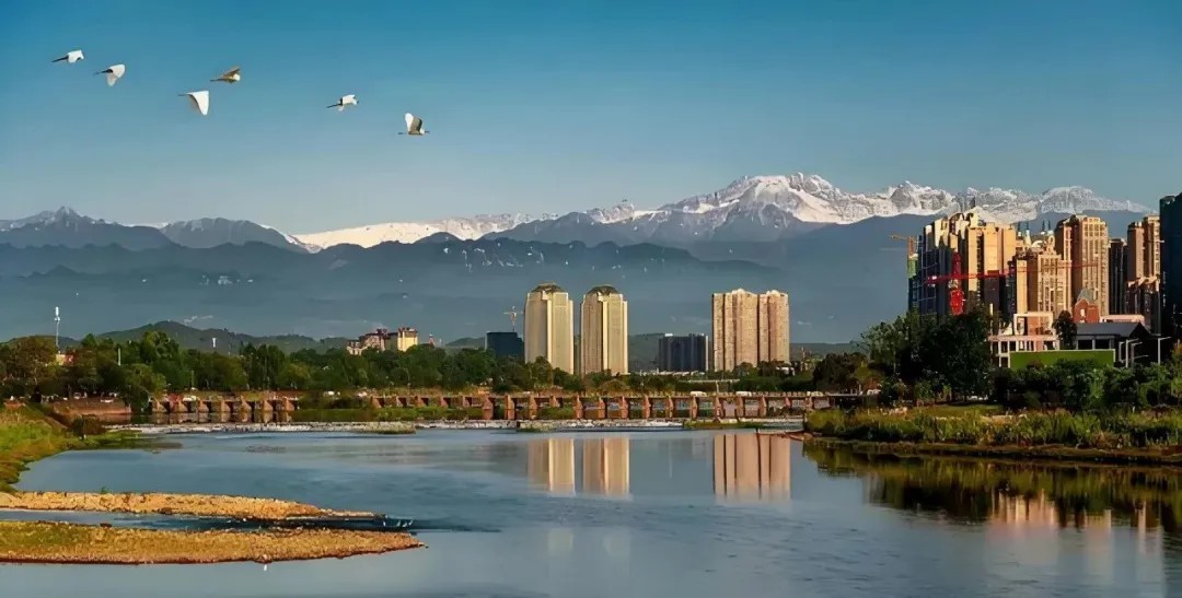 市政府党组（扩大）会议召开 专题传达学习党的二十届四中全会精神 王德彰主持并讲话