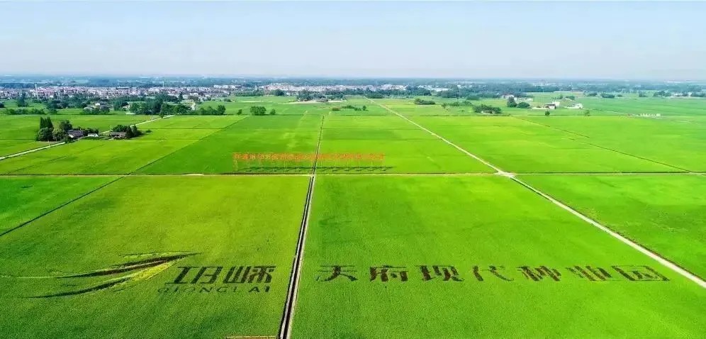 “田长制”“林长制”双轮驱动 织就乡村振兴新图景