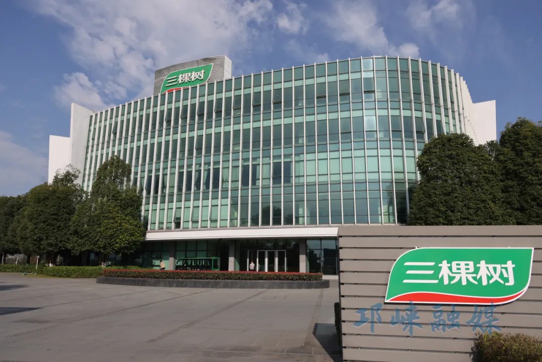 抓项目促投资 奋力冲刺四季度丨数智赋能国家级“绿色工厂”，四川三棵树跑出发展“加速度”