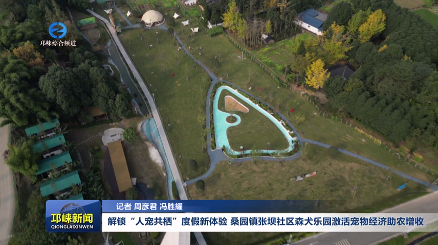 【20251125】解锁“人宠共栖”度假新体验，桑园镇张坝社区森犬乐园激活宠物经济助农增收