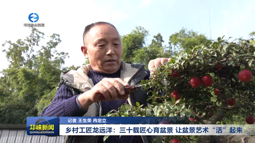 【20251125】乡村工匠龙远洋：三十载匠心育盆景 让盆景艺术“活”起来