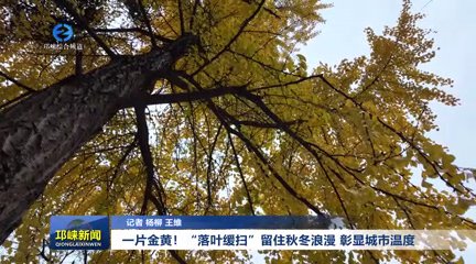 【20251126】一片金黄！“落叶缓扫”留住秋冬浪漫 彰显城市温度