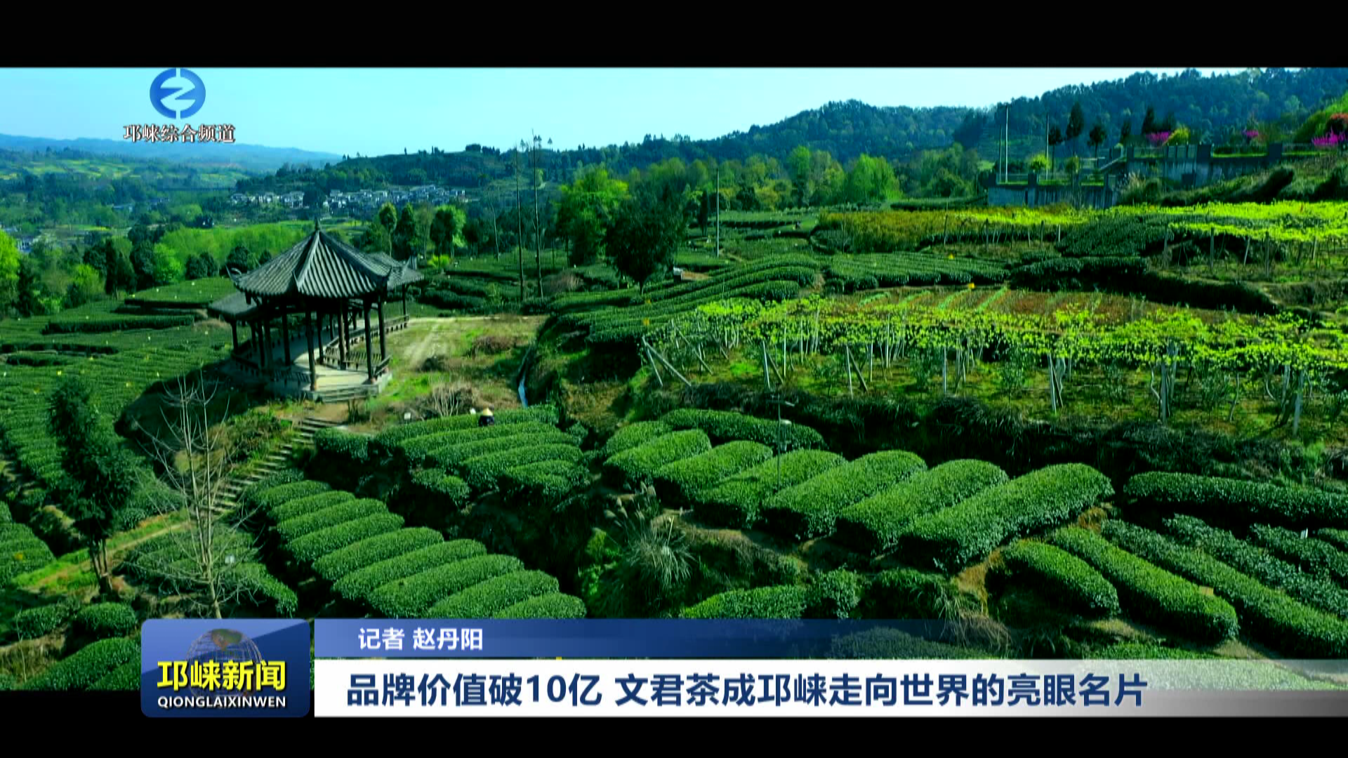 【20251217】品牌价值破10亿 文君茶成邛崃走向世界的亮眼名片