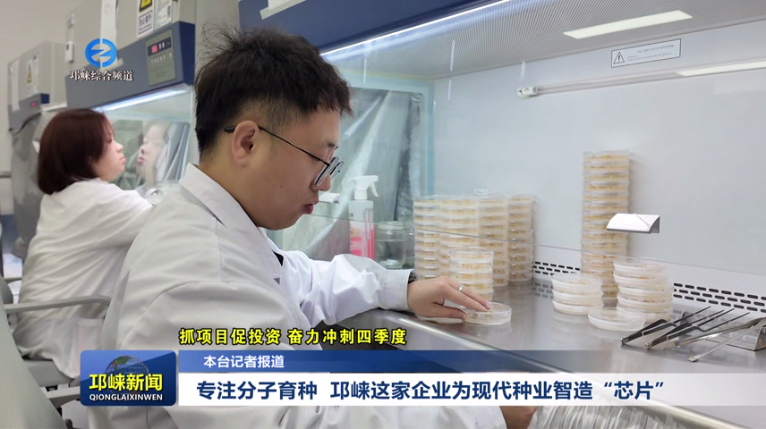【20251222】专注分子育种  邛崃这家企业为现代种业智造“芯片”