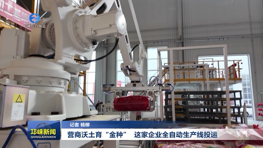【20251223】营商沃土育“金种”  这家企业全自动生产线投运