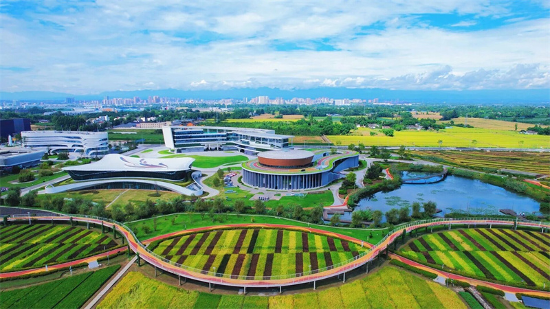 营商沃土育“金种”，邛崃这家企业全自动生产线投运