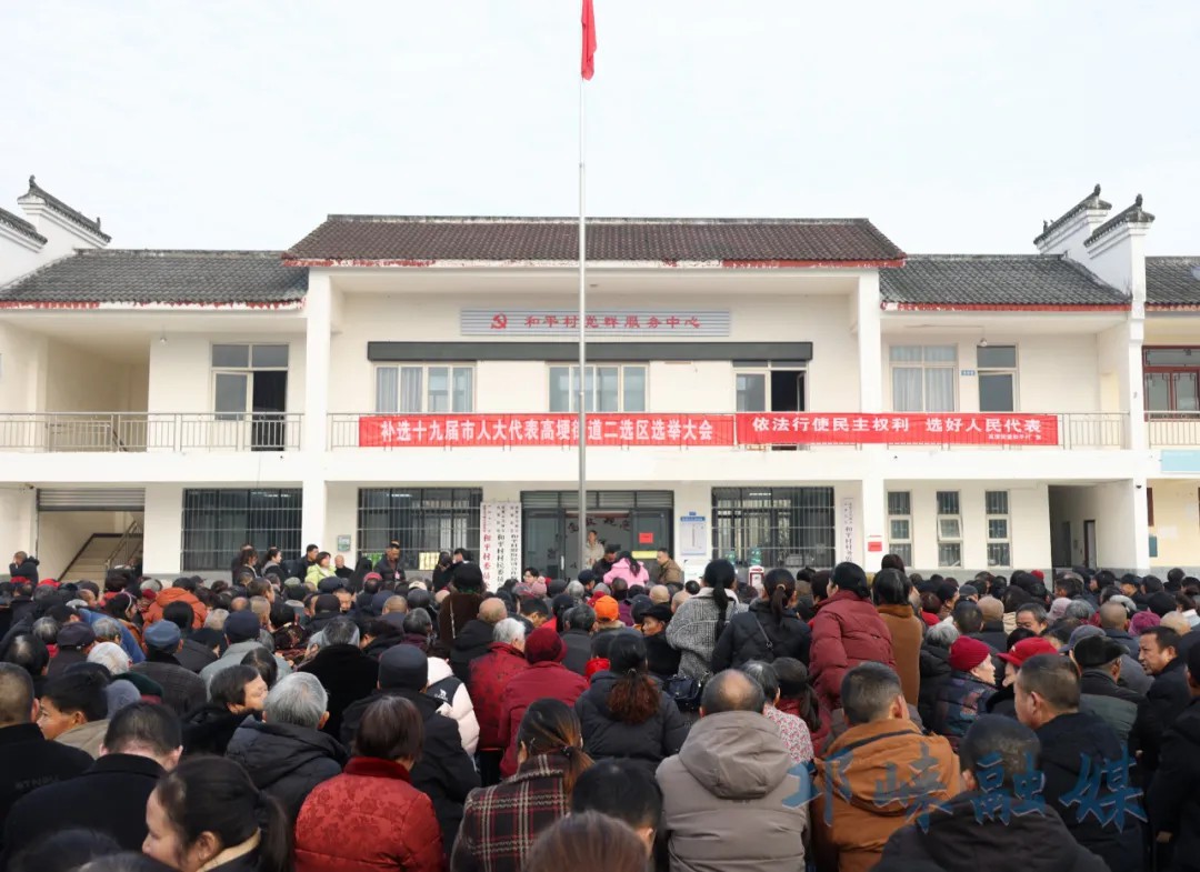 邛崃市第十九届人大代表补选工作圆满完成