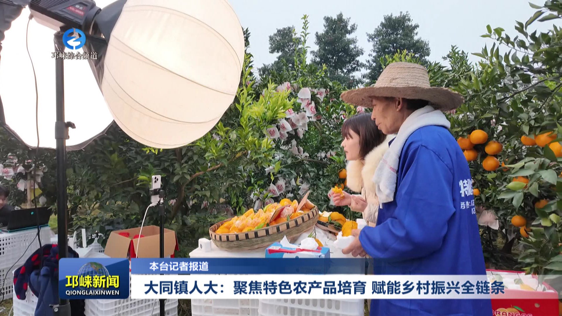【20251225】大同镇人大：聚焦特色农产品培育 赋能乡村振兴全链条