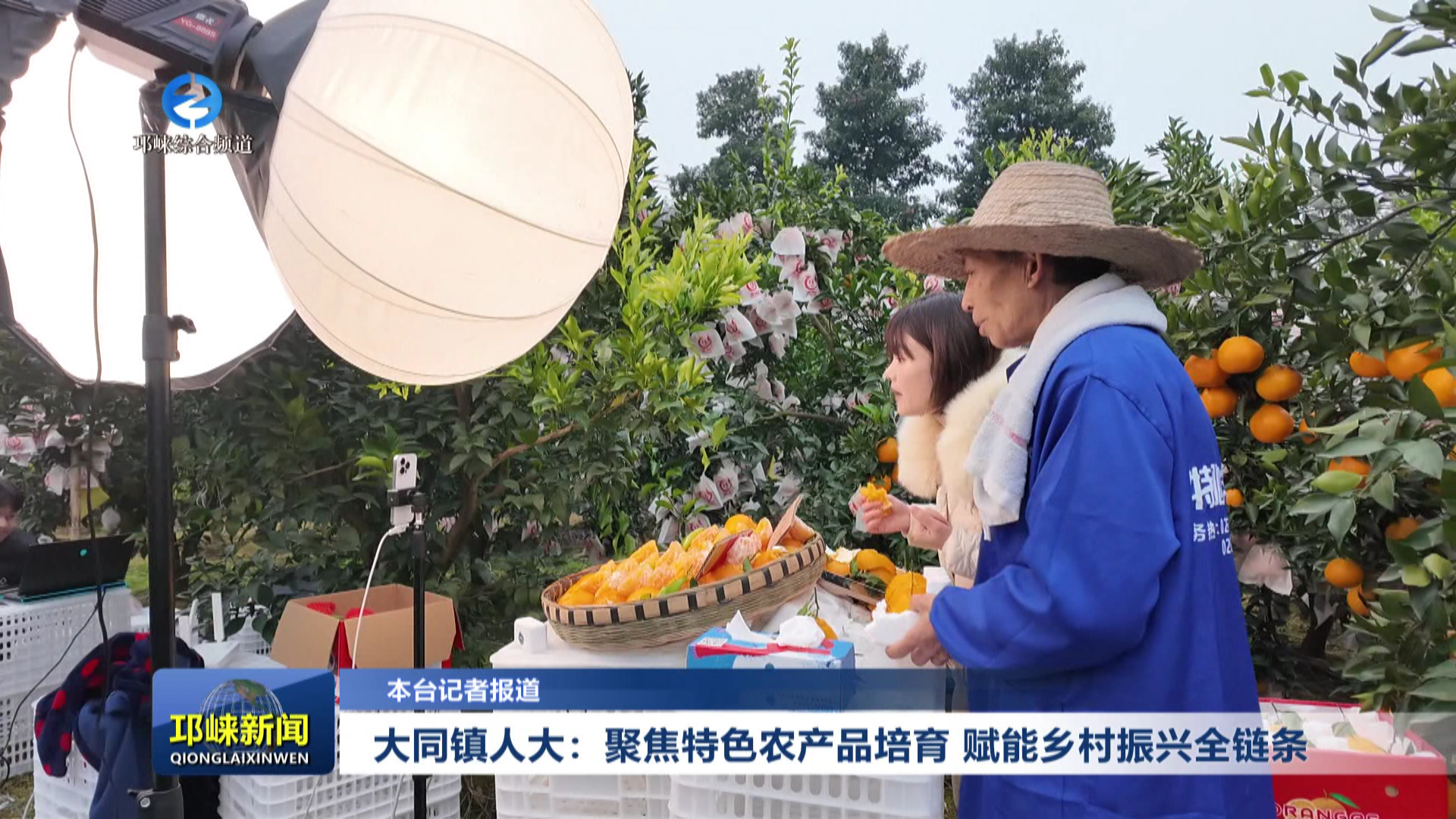 【20251225】大同镇人大：聚焦特色农产品培育 赋能乡村振兴全链条