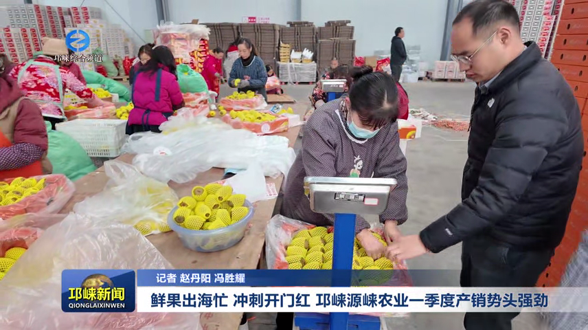 【20250115】鲜果出海忙 冲刺开门红 邛崃源崃农业一季度产销势头强劲