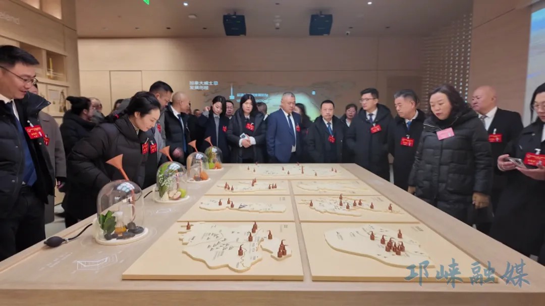 两会时间丨市人大代表、政协委员开展集中视察