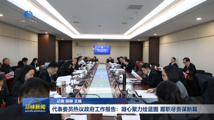 【20260121】代表委员热议政府工作报告：凝心聚力绘蓝图 履职尽责谋新篇