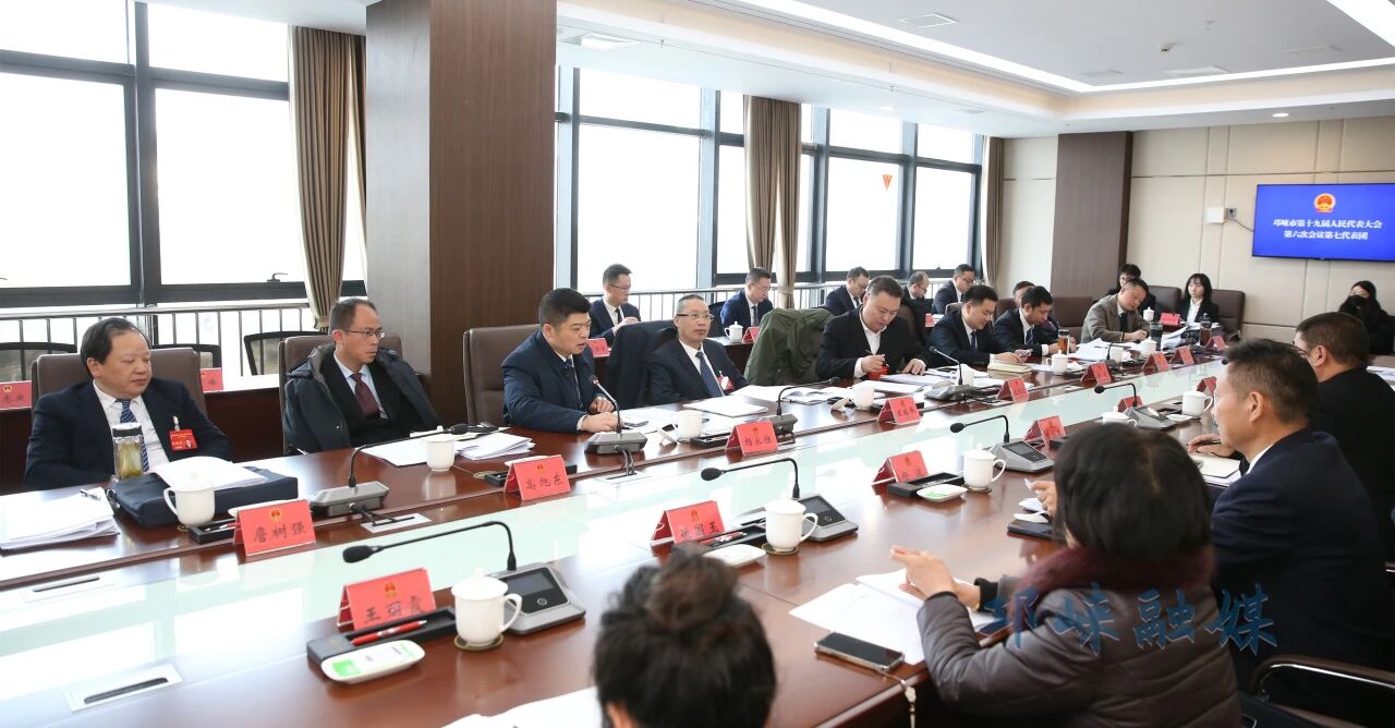 王瑞平参加市十九届人大六次会议代表团分团审议