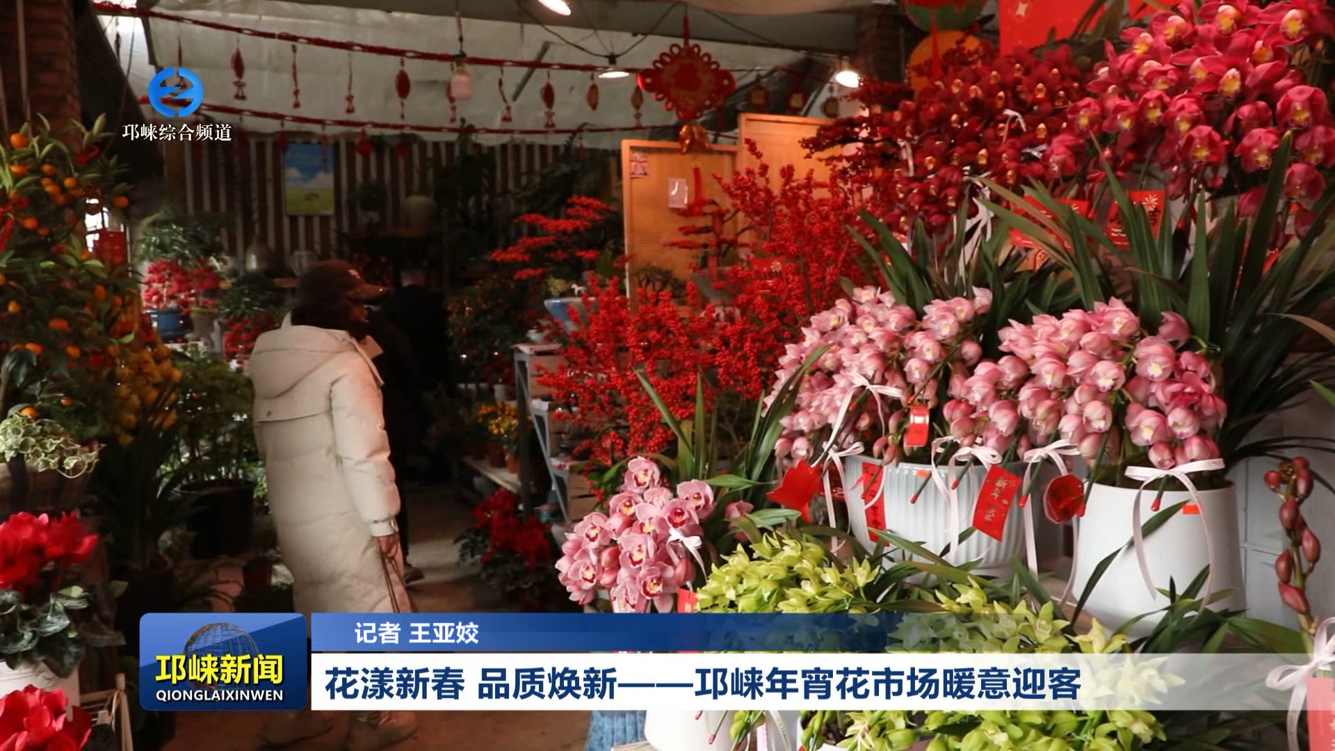 【20260209】花漾新春 品质焕新——邛崃年宵花市场暖意迎客
