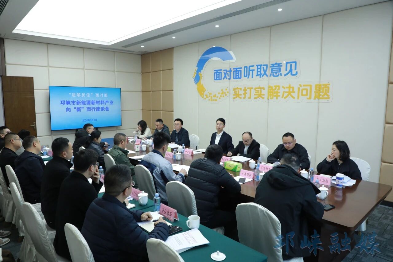 “进解优促”面对面——新能源新材料产业向“新”而行座谈会召开