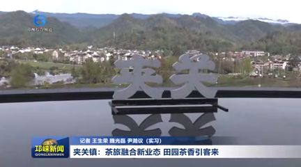 【20260311】夹关镇：茶旅融合新业态 田园茶香引客来