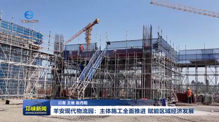 【20260311】羊安现代物流园：主体施工全面推进 赋能区域经济发展