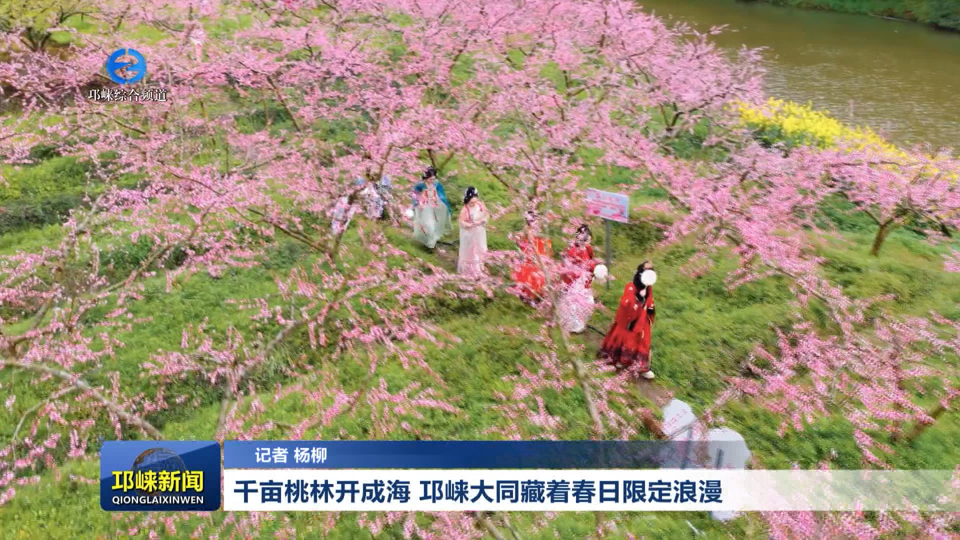 【20260316】千亩桃林开成海 邛崃大同藏着春日限定浪漫
