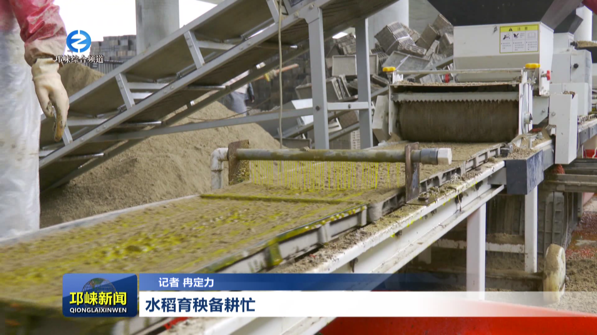 【20260319】水稻育秧备耕忙