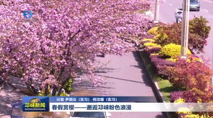 【20260402】春假赏樱——邂逅邛崃粉色浪漫