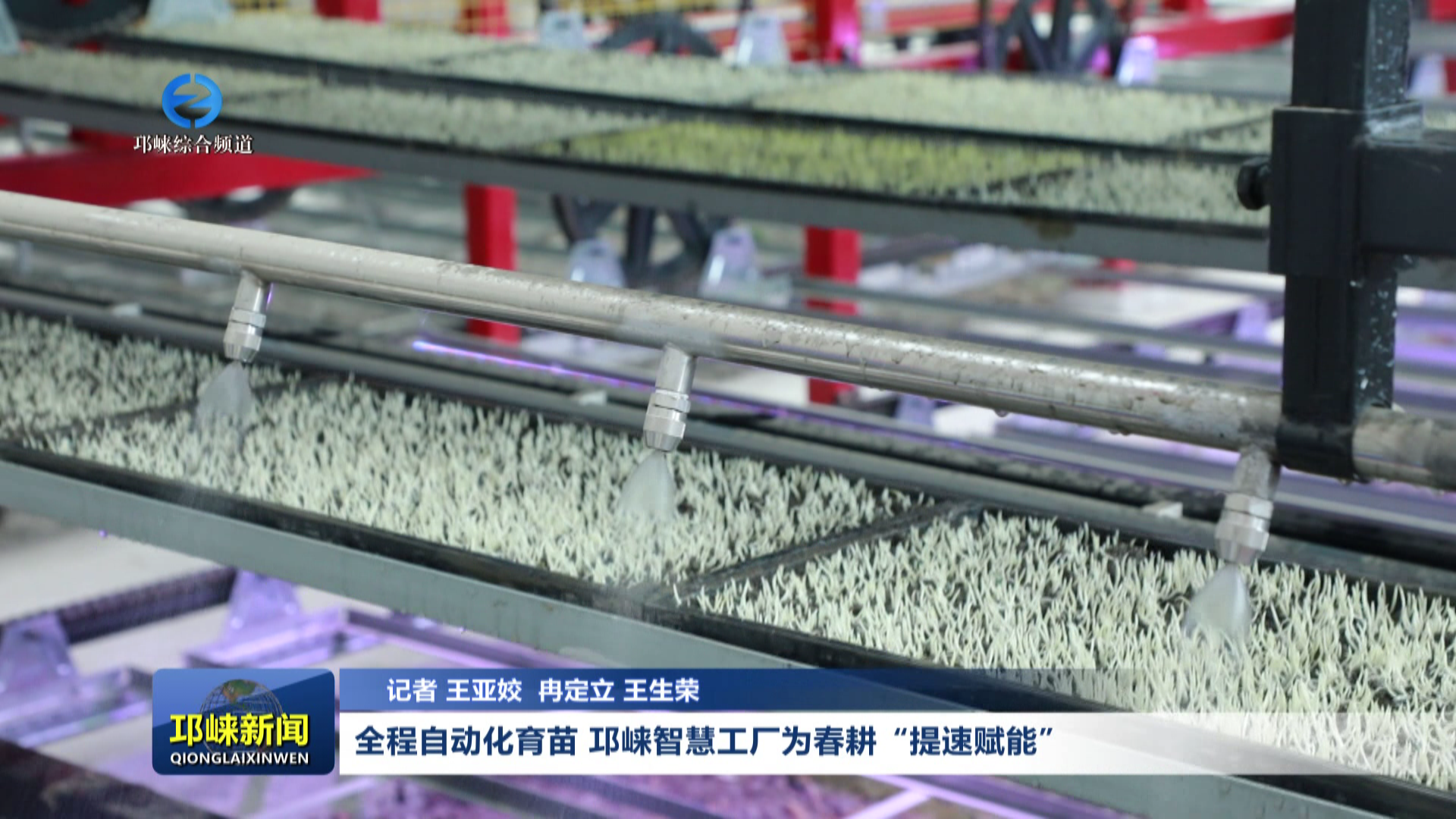 【20260413】全程自动化育苗 邛崃智慧工厂为春耕“提速赋能”