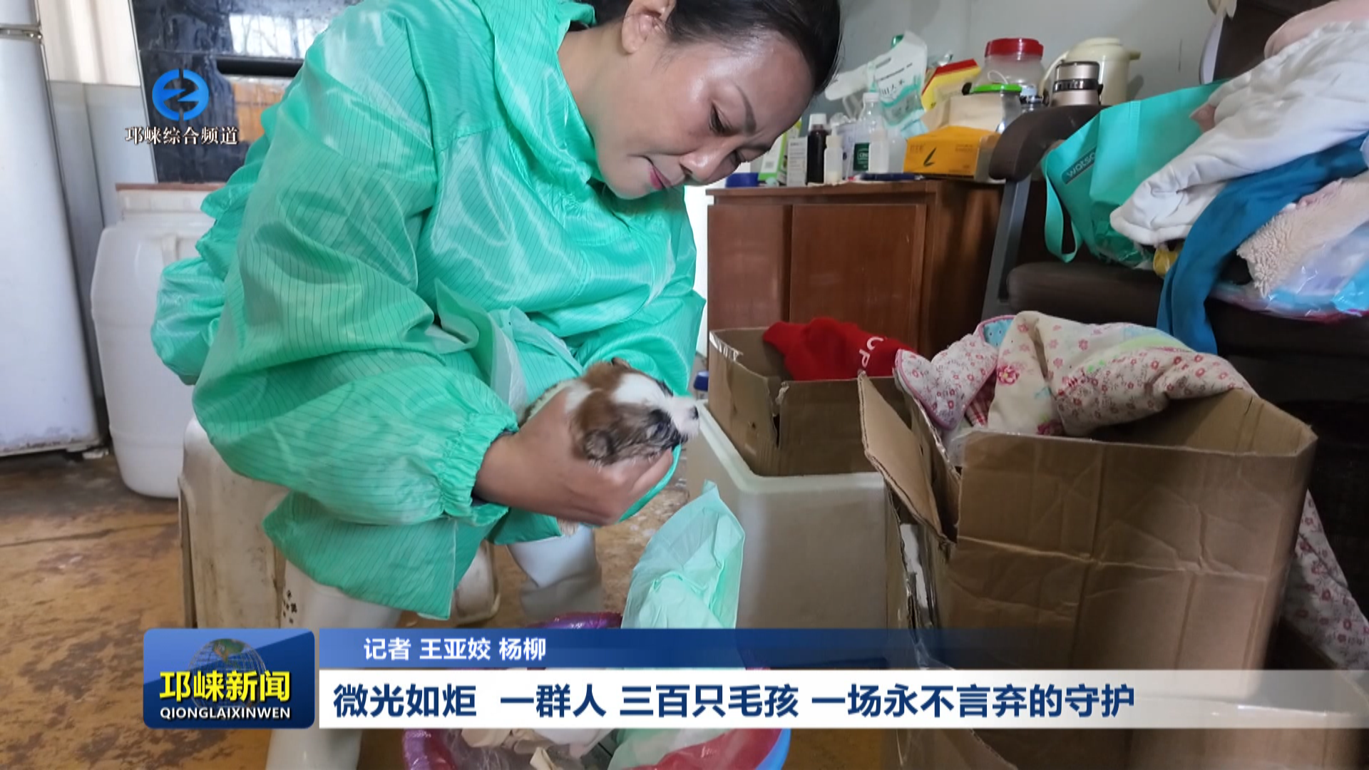 【20260420】微光如炬！一群人，三百只毛孩，一场永不言弃的守护