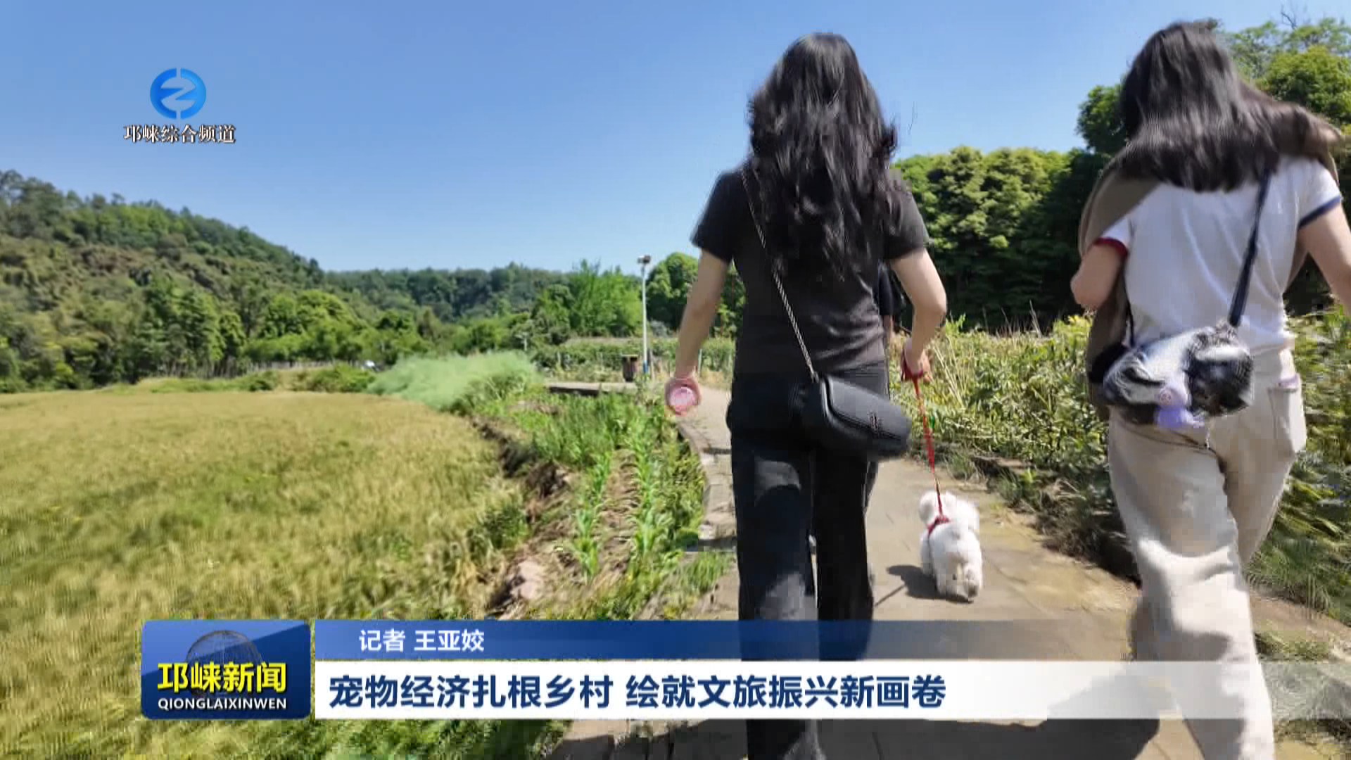 【20260420】宠物经济扎根乡村 绘就文旅振兴新画卷