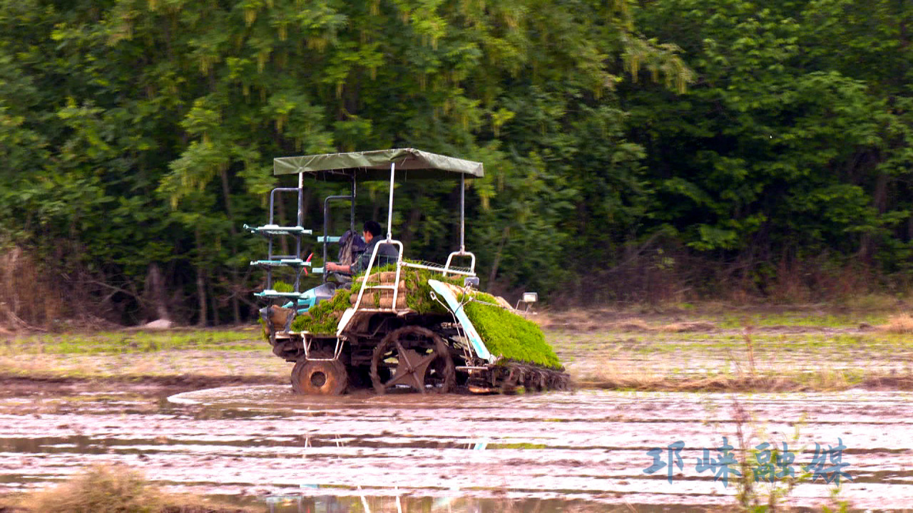 看！邛崃春日农耕画卷