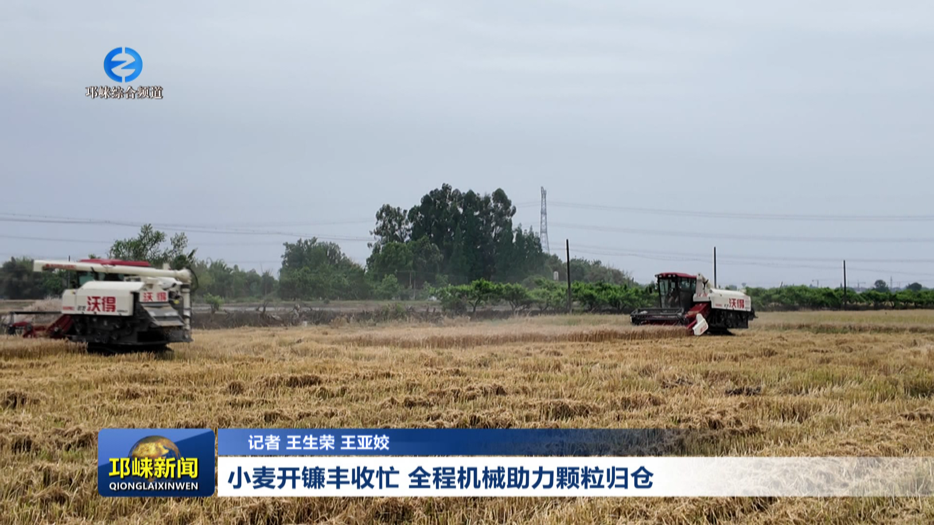 【20260507】小麦开镰丰收忙 全程机械助力颗粒归仓
