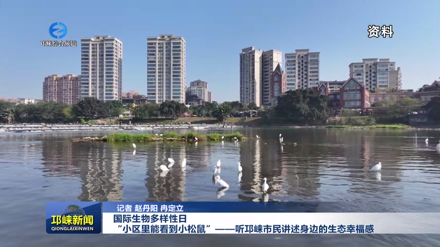 【20260522】国际生物多样性日 “小区里能看到小松鼠”——听邛崃市民讲述身边的生态幸福感