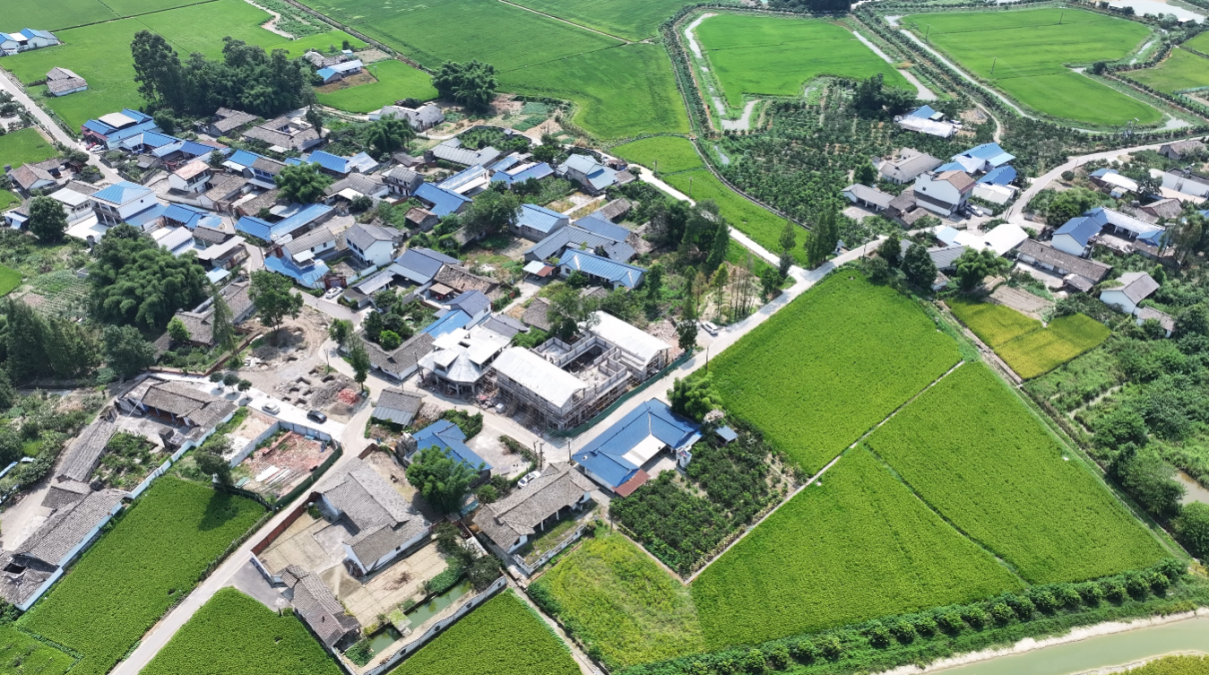 党建赋能萌宠经济，邛崃开元村蹚出兴村富民新路子