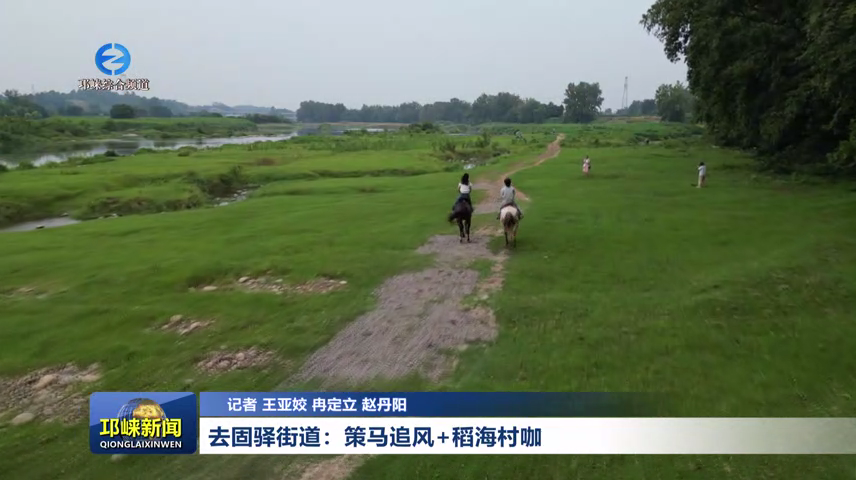 【20260710】去固驿街道：策马追风+稻海村咖