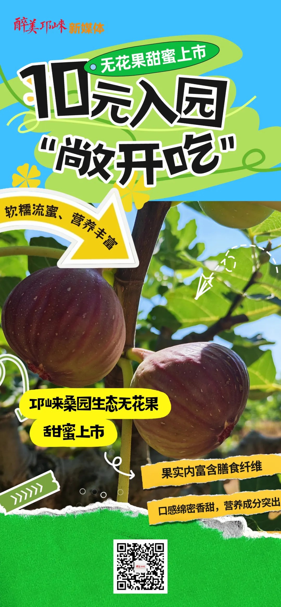 10元入园敞开吃，邛崃桑园生态无花果甜蜜上市