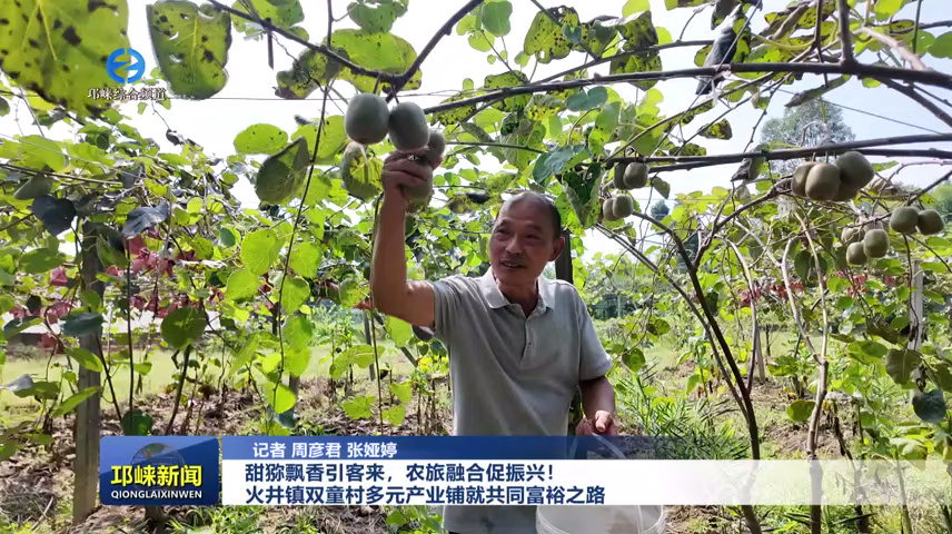 【20260825】甜猕飘香引客来，农旅融合促振兴！火井镇双童村多元产业铺就共同富裕之路