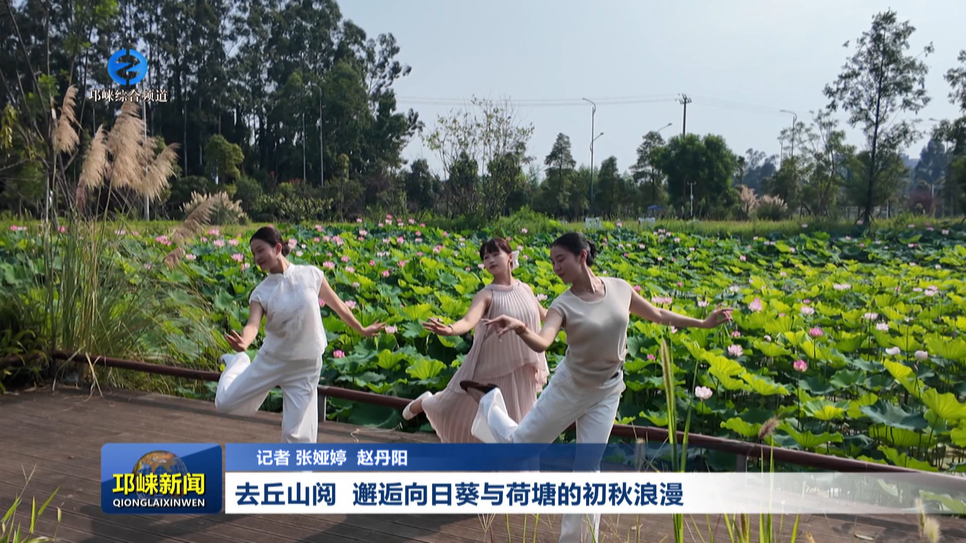 【20260827】去丘山阅  邂逅向日葵与荷塘的初秋浪漫