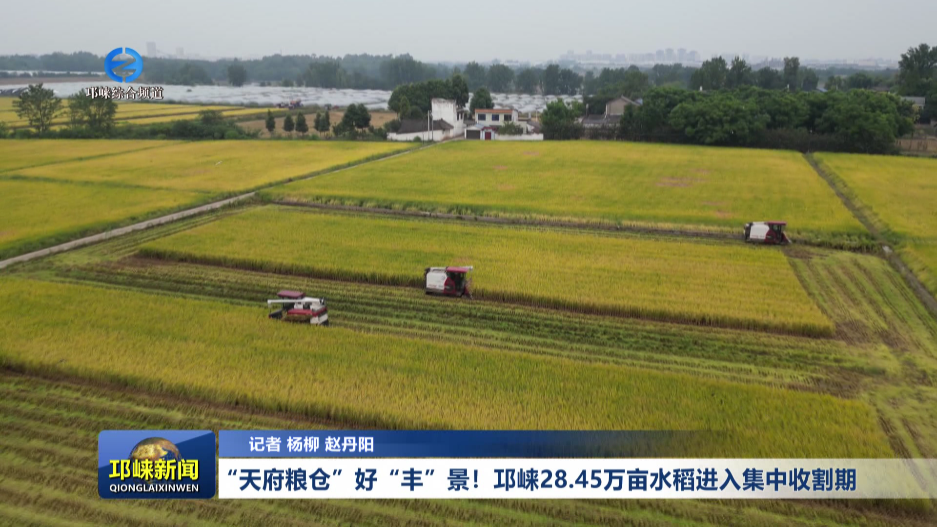 【20260903】“天府粮仓”好“丰”景！邛崃28.45万亩水稻进入集中收割期