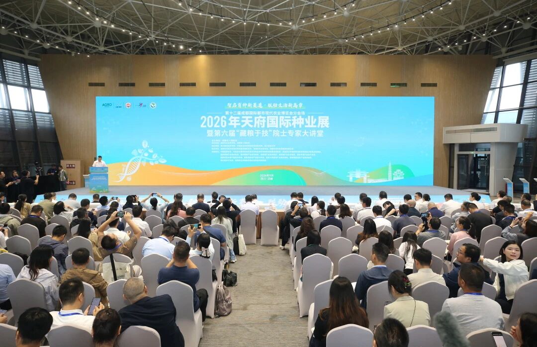 2026年天府国际