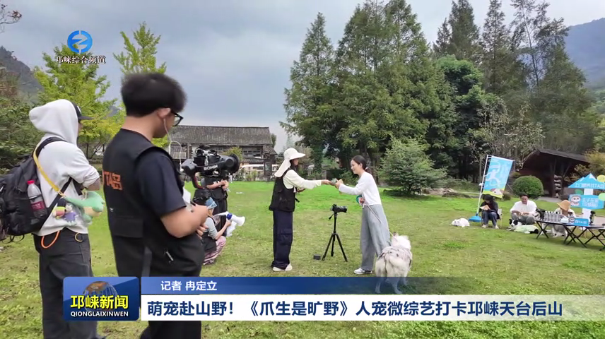 【20261020】萌宠赴