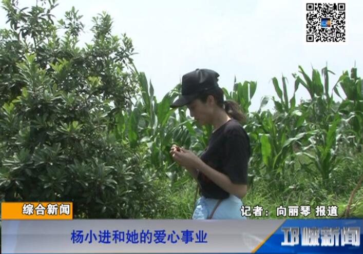 【20180613】杨小进和她的爱心事业