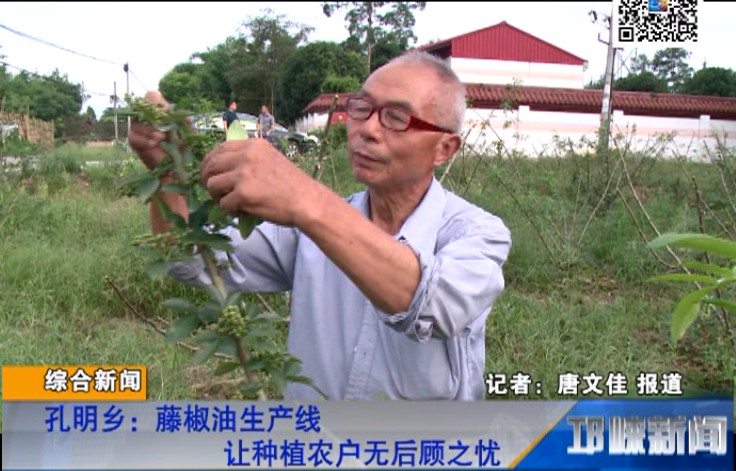【20180718】孔明乡-藤椒油生产线让种植农户无后顾之忧