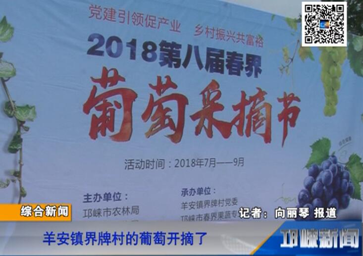 【20180720】羊安镇界牌村的葡萄开摘了