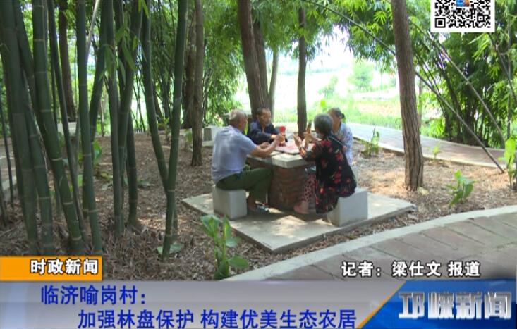 【20180724】临济喻岗村：加强林盘保护 构建优美生态农居