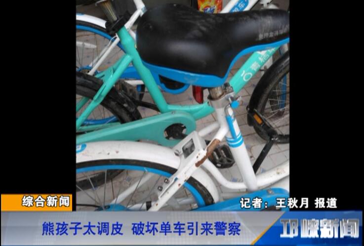 【20180726】熊孩子太调皮 破坏单车引来警察