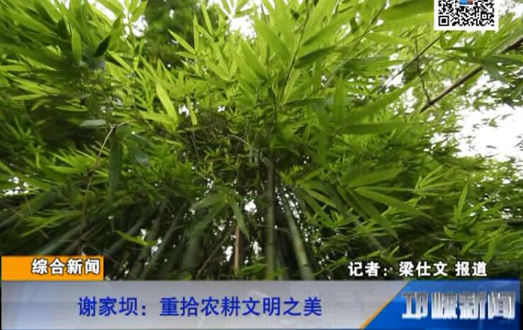 【20180803】谢家坝重拾农耕文明之美