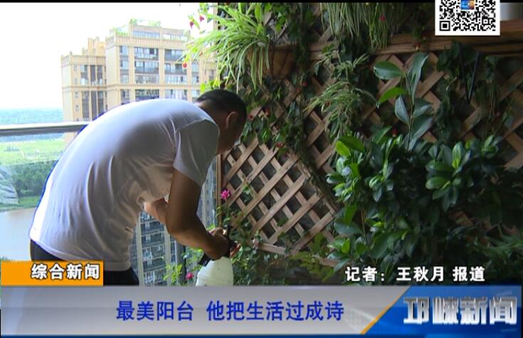 【20180810】最美阳台 他把生活过成诗