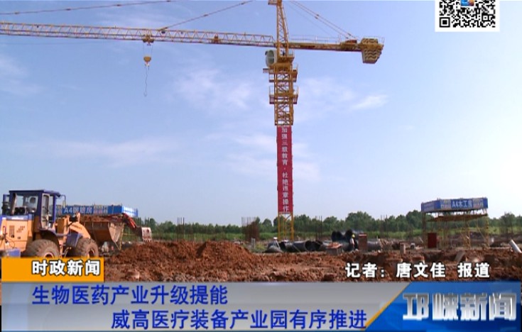 【20180813】生物医药产业升级提能 威高医疗装备产业园有序推进
